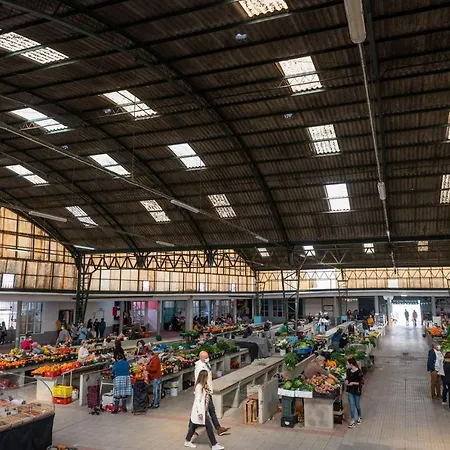 Вилла Bayview A Sua Casa A Beira Mar - 20 Mt Da E Da Famosa Bola Nivea *