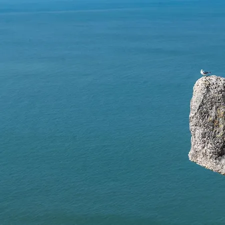 Bayview A Sua Casa A Beira Mar - 20 Mt Da E Da Famosa Bola Nivea * Назаре