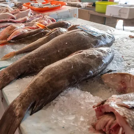 Bayview A Sua Casa A Beira Mar - 20 Mt Da E Da Famosa Bola Nivea Назаре